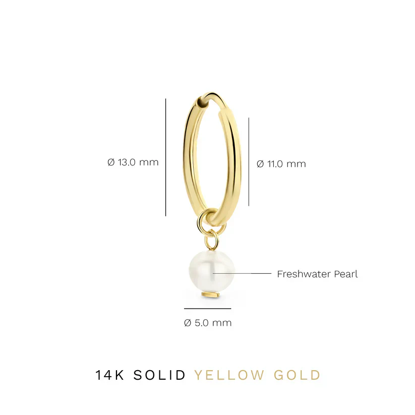 Delia Crest Earrings | Gold - Image 4